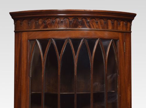 GEORGE III STYLE MAHOGANY CORNER CABINET - ADDITIONAL PHOTO 1