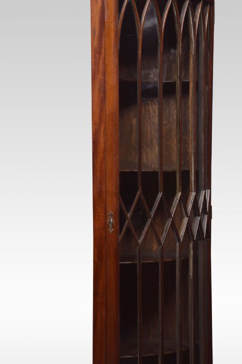 GEORGE III STYLE MAHOGANY CORNER CABINET - ADDITIONAL PHOTO 3