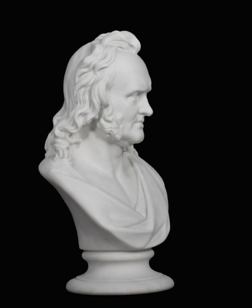 19TH BUST OF PROFESSOR JOHN WILSON - ADDITIONAL PHOTO 1