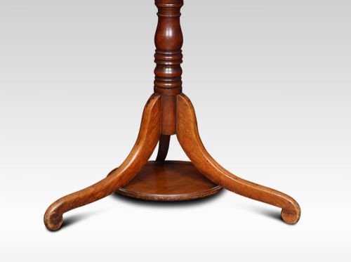 19TH CENTURY MAHOGANY COAT AND UMBRELLA STAND - ADDITIONAL PHOTO 2