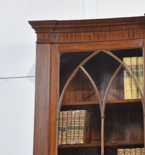 REGENCY MAHOGANY LIBRARY BOOKCASE - ADDITIONAL PHOTO 1