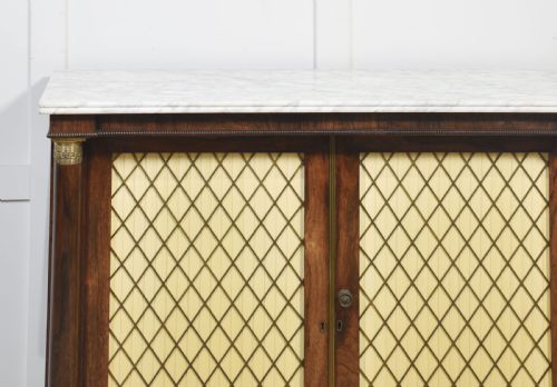 19TH CENTURY ROSEWOOD TWO DOOR CABINET - ADDITIONAL PHOTO 2