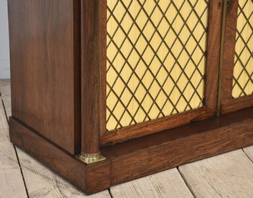 19TH CENTURY ROSEWOOD TWO DOOR CABINET - ADDITIONAL PHOTO 7