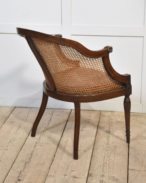 MAHOGANY FRAMED BERGERE TUB ARMCHAIR - ADDITIONAL PHOTO 6