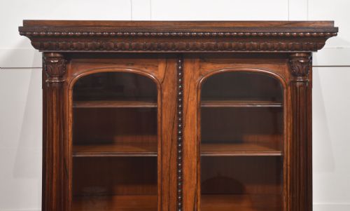 19TH CENTURY ROSEWOOD GLAZED BOOKCASE - ADDITIONAL PHOTO 14