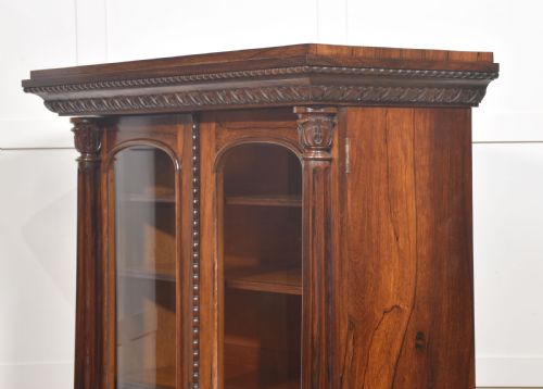 19TH CENTURY ROSEWOOD GLAZED BOOKCASE - ADDITIONAL PHOTO 19