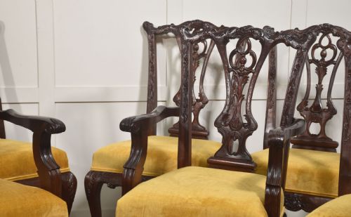 fig 1. A set of eight dark mahogany dining chairs featuring elaborate pierced back splats, cabriole legs with ball and claw feet, and mustard yellow velvet upholstered seats.