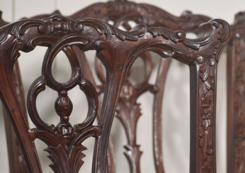 fig 3. A set of eight dark mahogany dining chairs featuring elaborate pierced back splats, cabriole legs with ball and claw feet, and mustard yellow velvet upholstered seats.