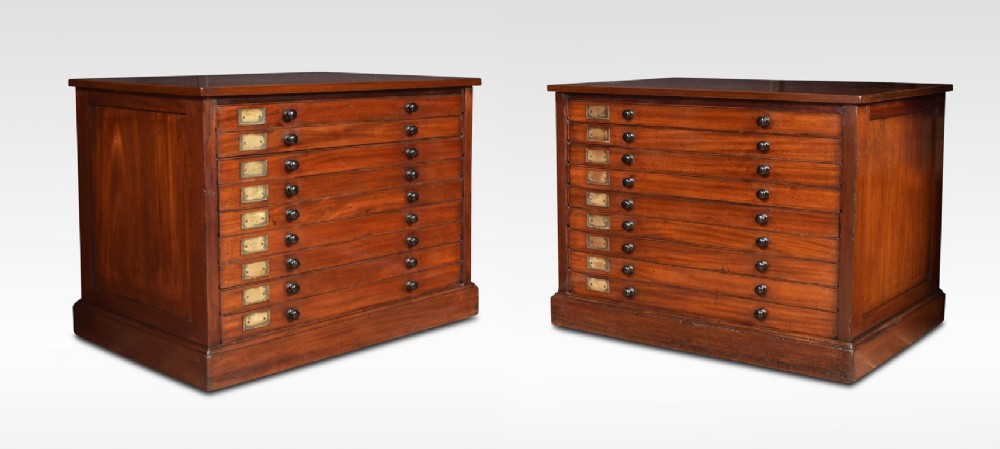 Pair of 19th century mahogany specimen chests
