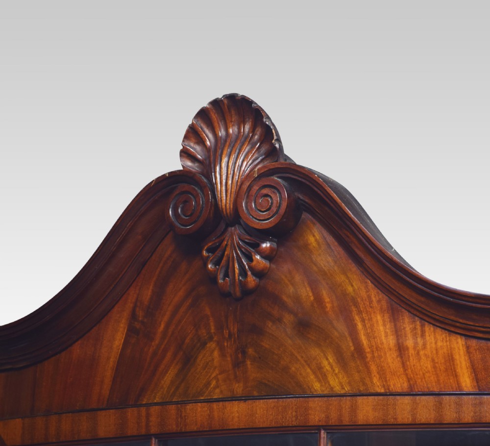 Chippendale revival mahogany display cabinet View IV