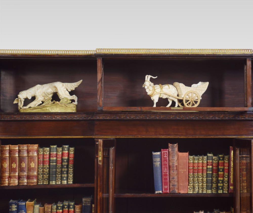 Late 19th century breakfront display bookcase View III