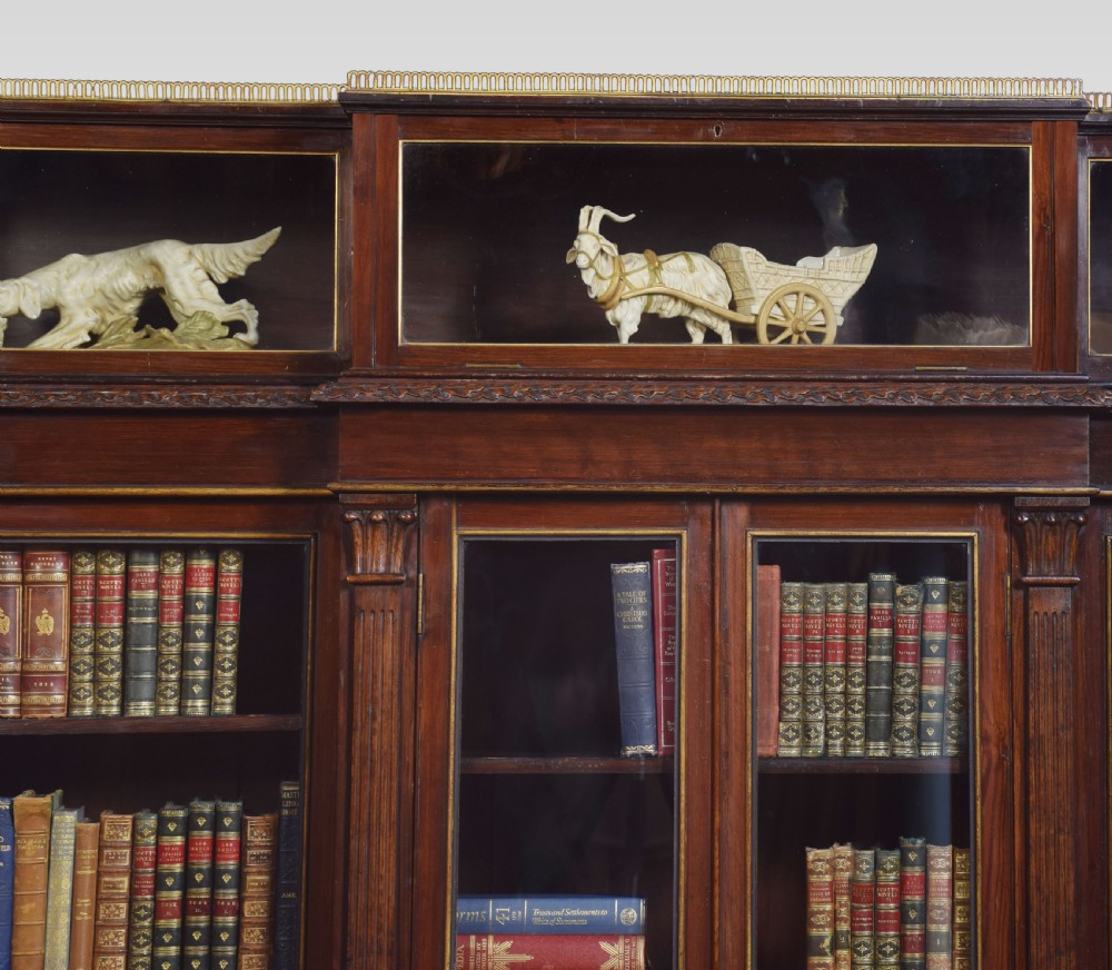 Late 19th century breakfront display bookcase View VI