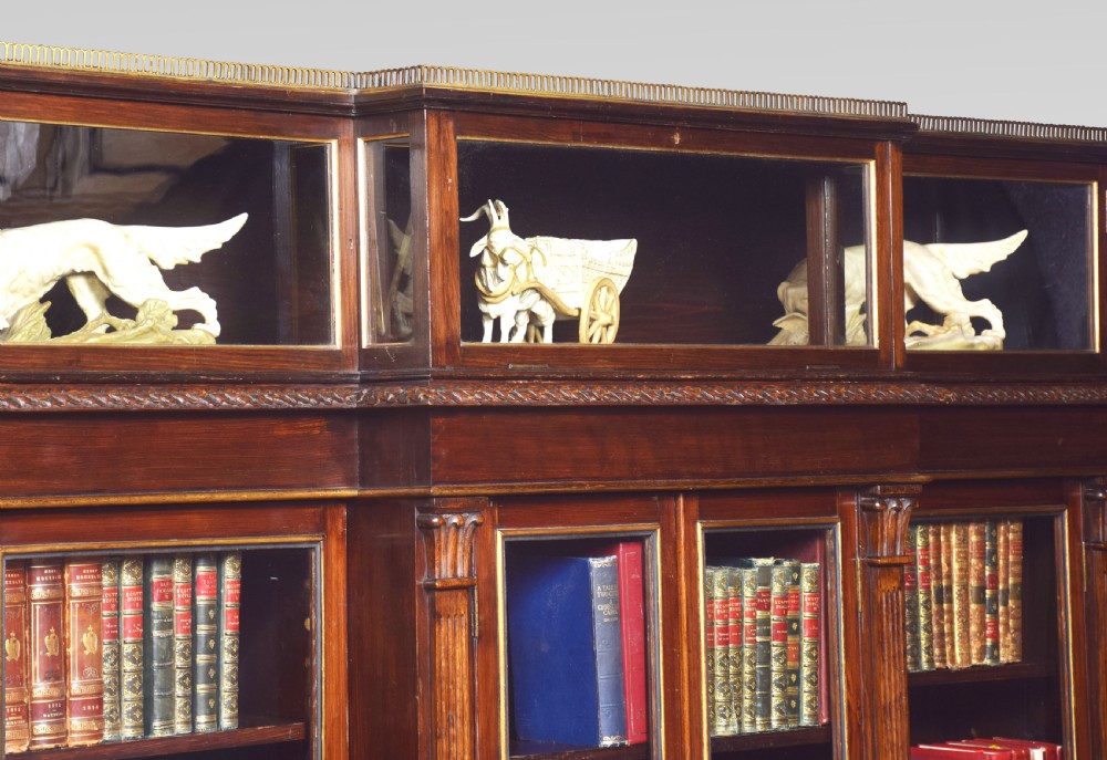 Late 19th century breakfront display bookcase View VIII