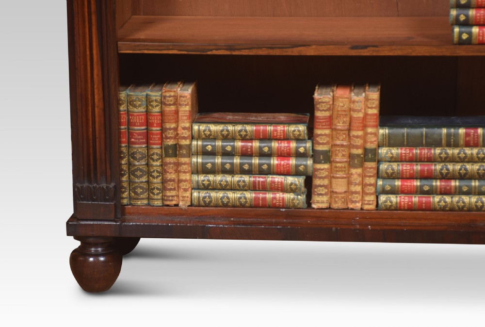 Regency rosewood open bookcase View VII