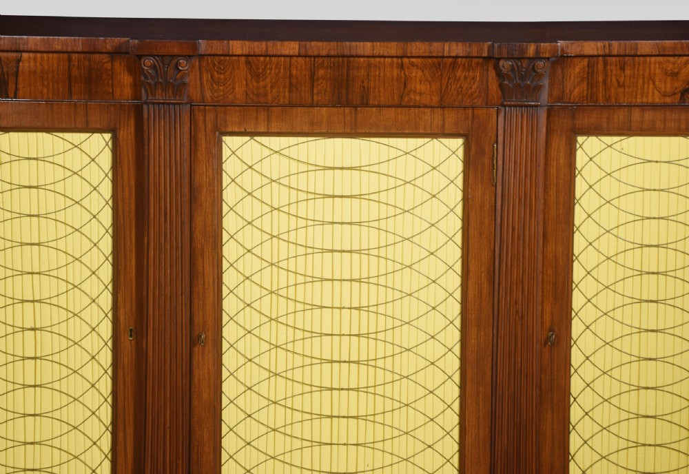 Regency rosewood cabinet View III