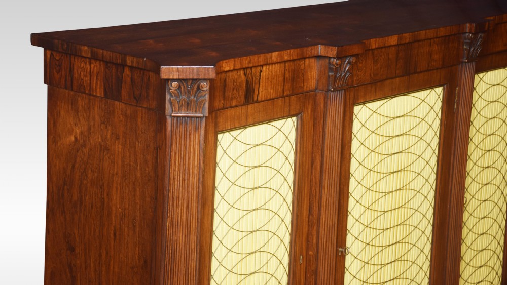 Regency rosewood cabinet View VIII