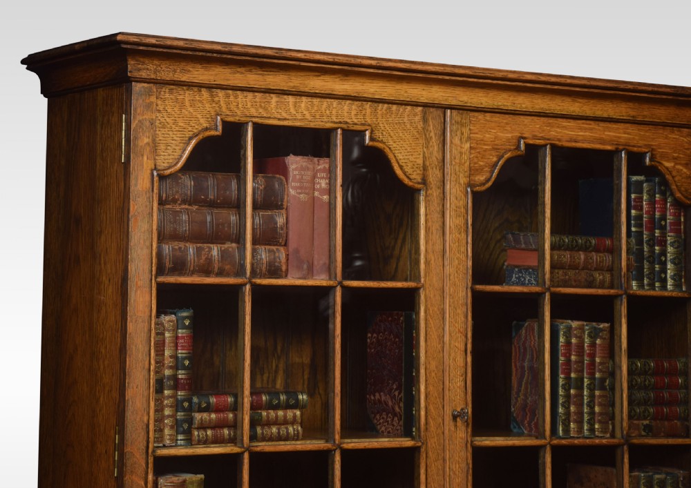 Oak two door bookcase View III
