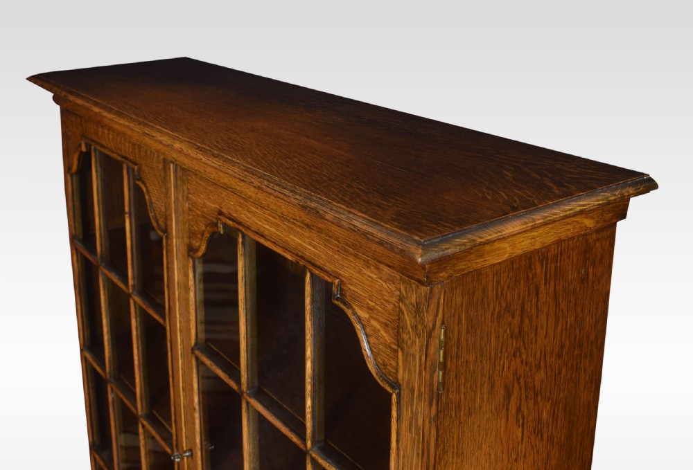 Oak two door bookcase View IV