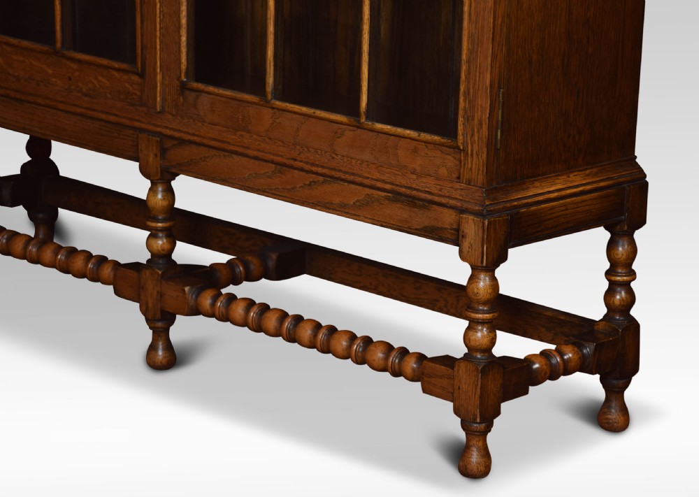 Oak two door bookcase View VI