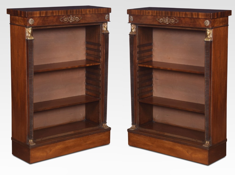 Pair of Empire style bookcases View III