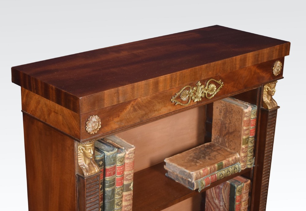 Pair of Empire style bookcases View IV