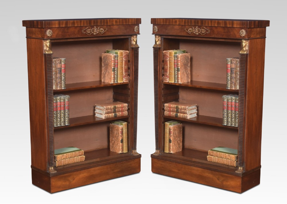 Pair of Empire style bookcases View V