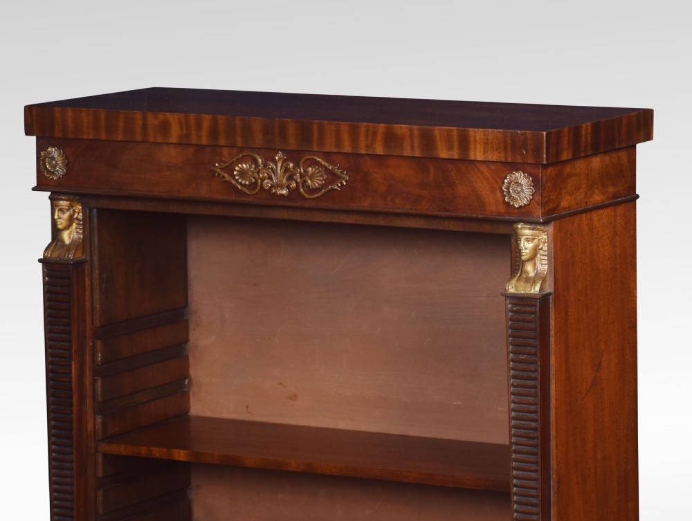 Pair of Empire style bookcases View VI