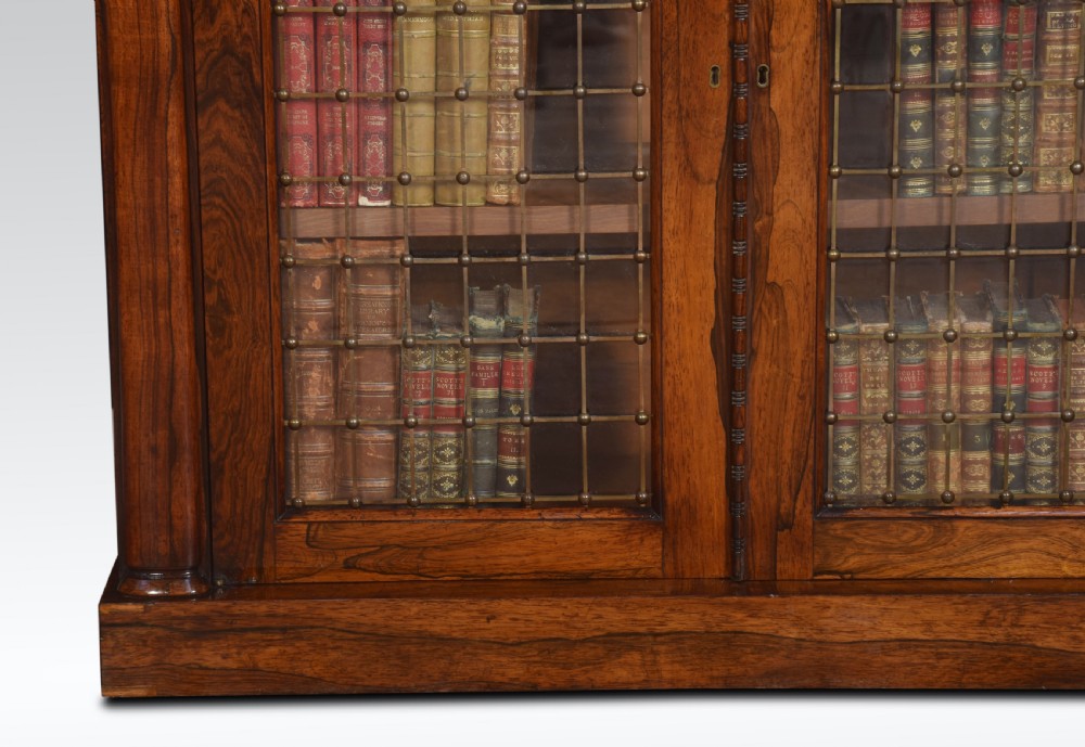 19th Century rosewood two door chiffonier View VII