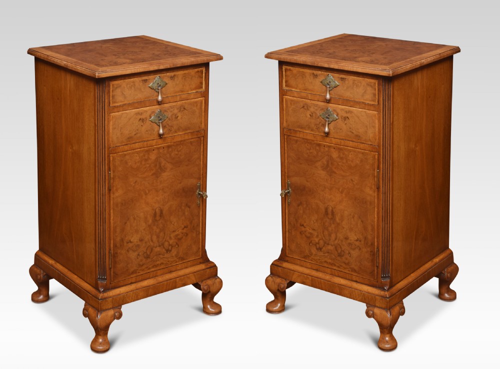 Pair of Queen Ann Style bedside cabinets