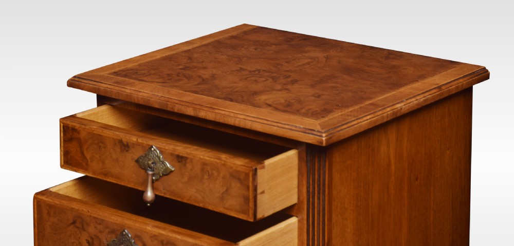 Pair of Queen Ann Style bedside cabinets View V