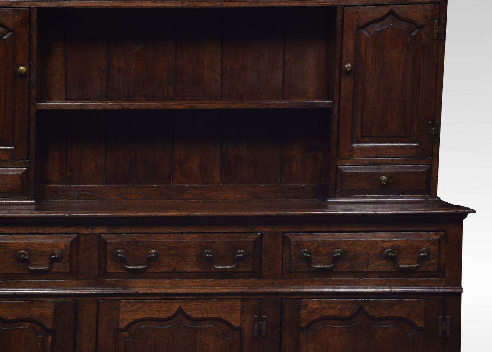 18th century style welsh canopy dresser View VII