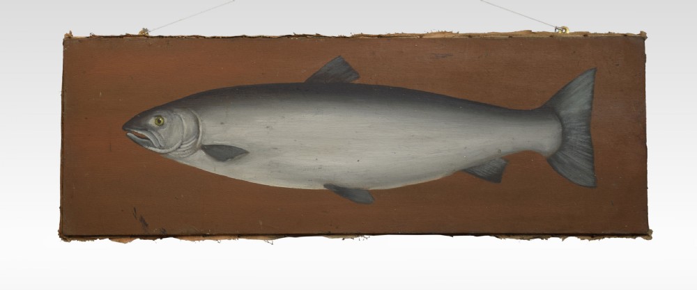 Oil on canvas study of a salmon