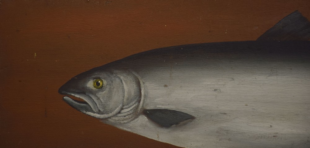Oil on canvas study of a salmon View II