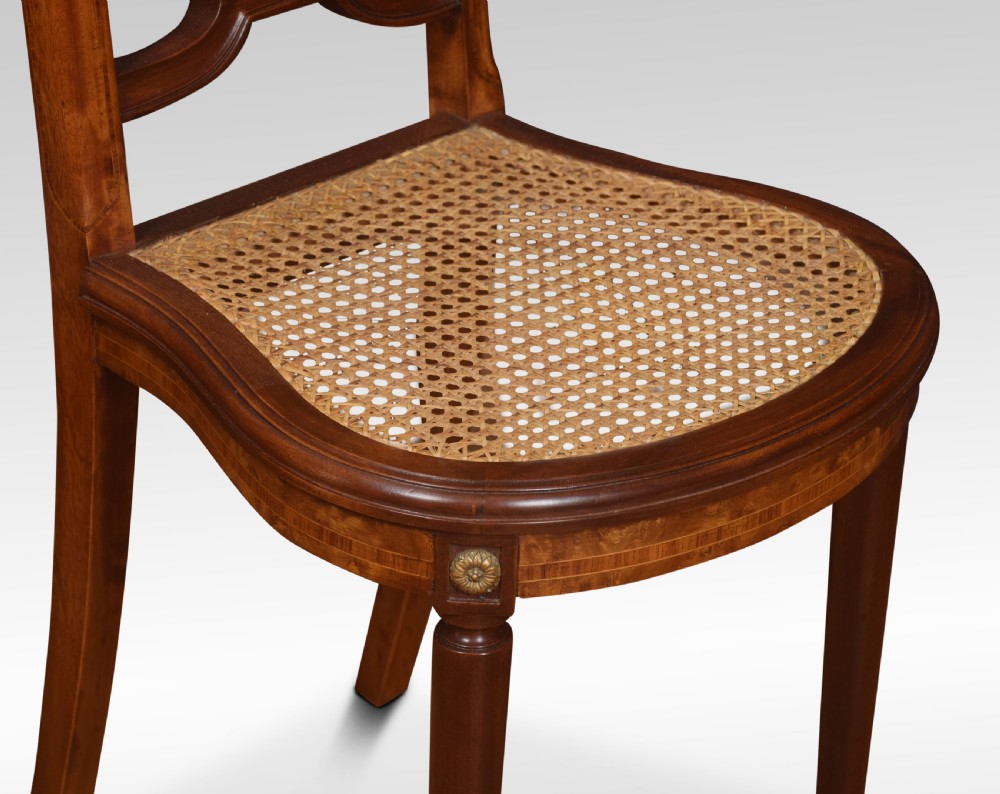 Pair of bergere side chairs View III