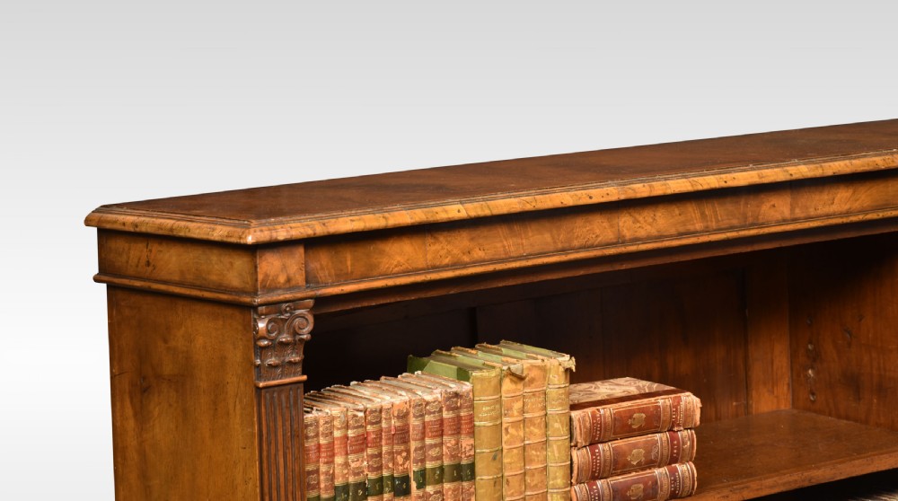 Large walnut dwarf open bookcase View VII