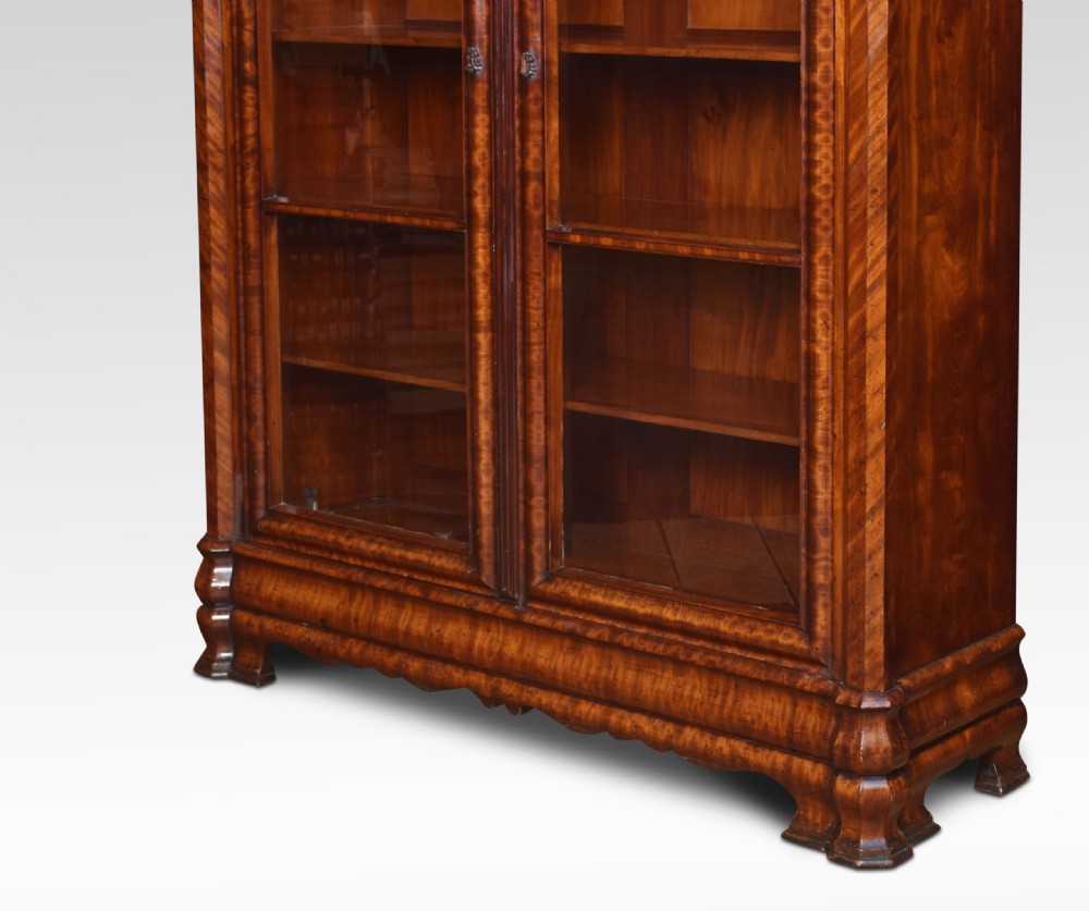 Mahogany two door bookcase View IV