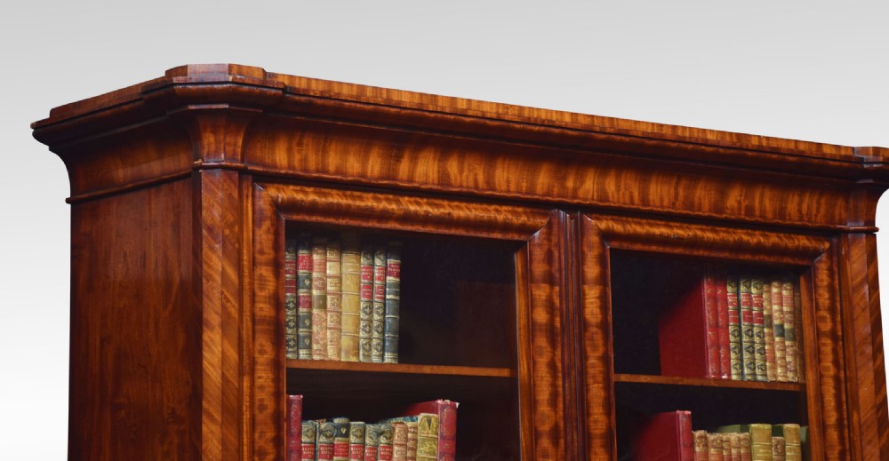 Mahogany two door bookcase View V