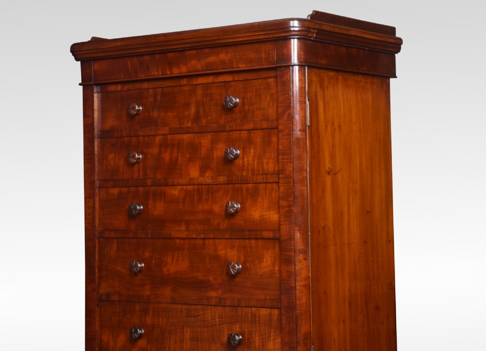 Mahogany Wellington chest View IV