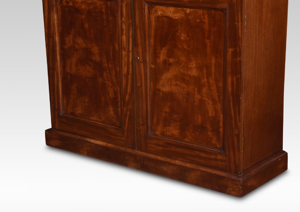 19th Century Mahogany Bookcase View V