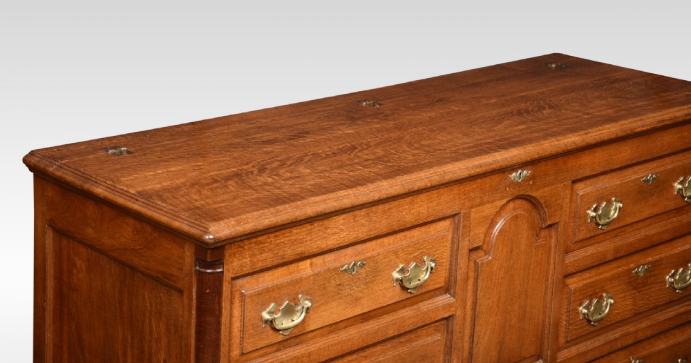 George III Oak Lancashire Mule Chest View IV
