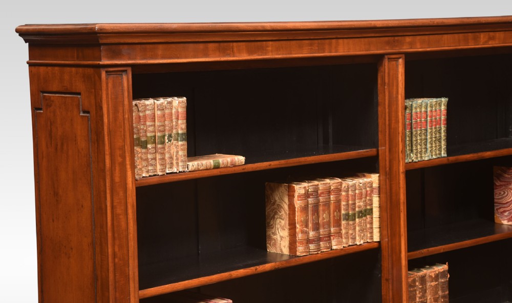 19th century mahogany dwarf open bookcase View II