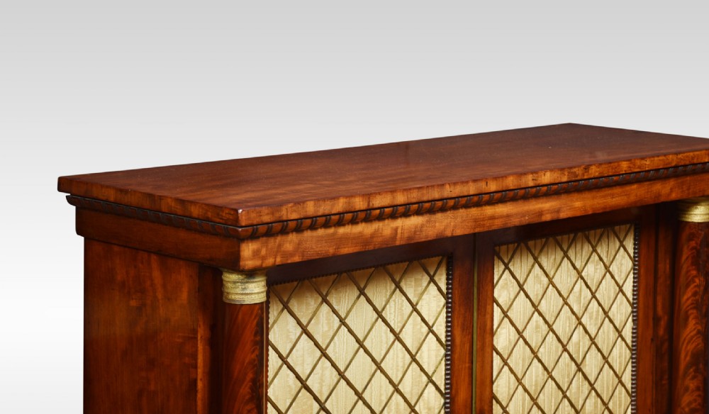 Regency Mahogany Two Door Cabinet View II