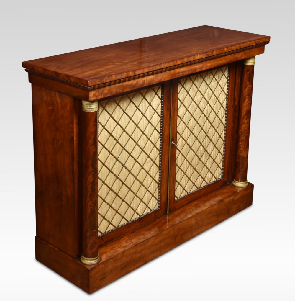 Regency Mahogany Two Door Cabinet View III