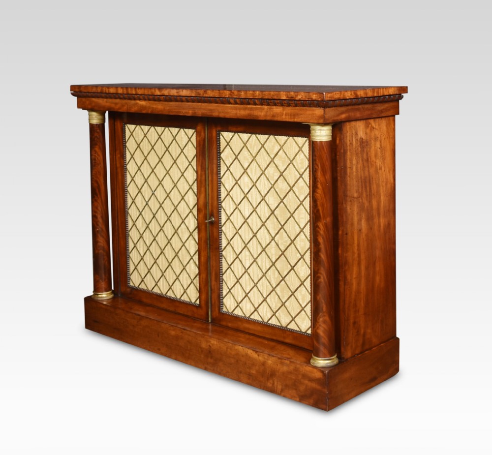 Regency Mahogany Two Door Cabinet View IV