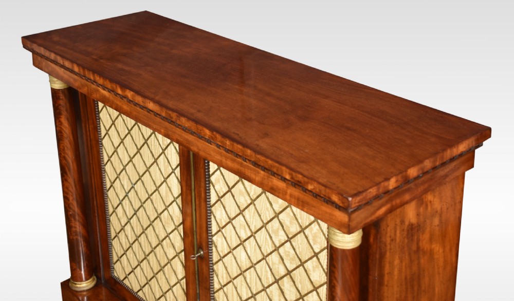 Regency Mahogany Two Door Cabinet View VIII