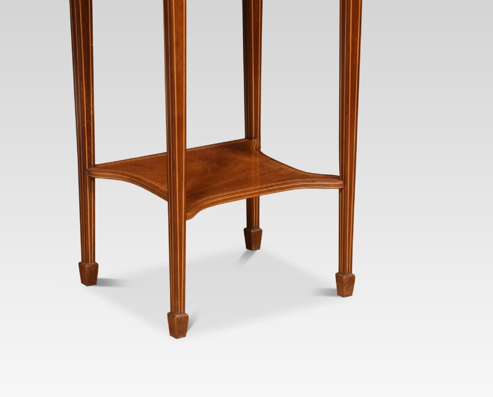 Narrow Mahogany Inlaid Display Bookcase View VI