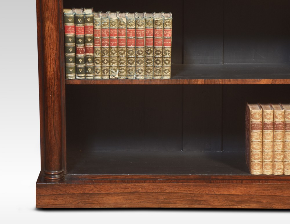 19th-century rosewood open bookcase View VI