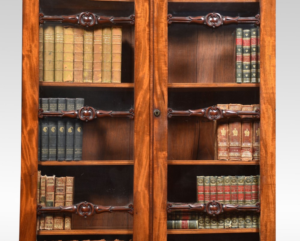A tall narrow mahogany bookcase featuring an upper glazed two-door section with shelves set above a two-door panelled cupboard base. View III