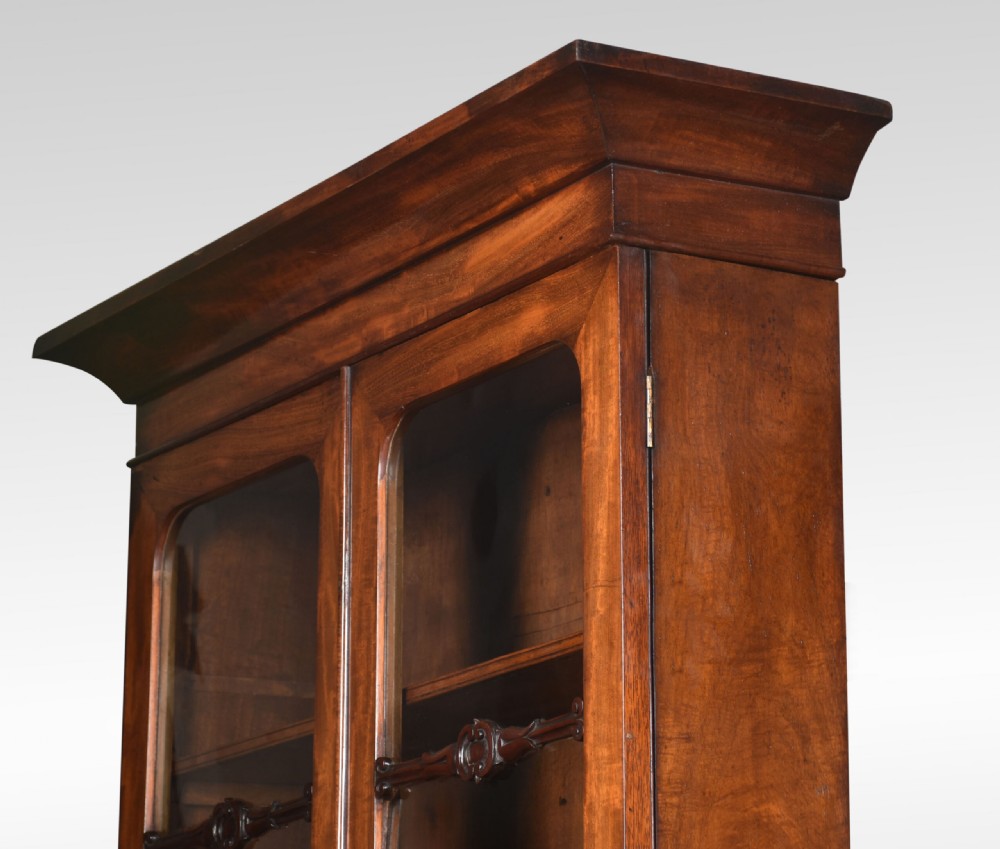 A tall narrow mahogany bookcase featuring an upper glazed two-door section with shelves set above a two-door panelled cupboard base. View VII