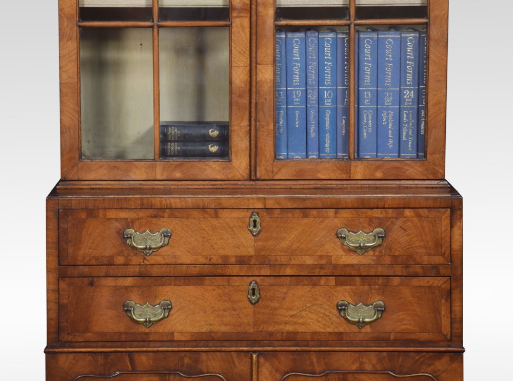Walnut Narrow Two Door Bookcase View VI